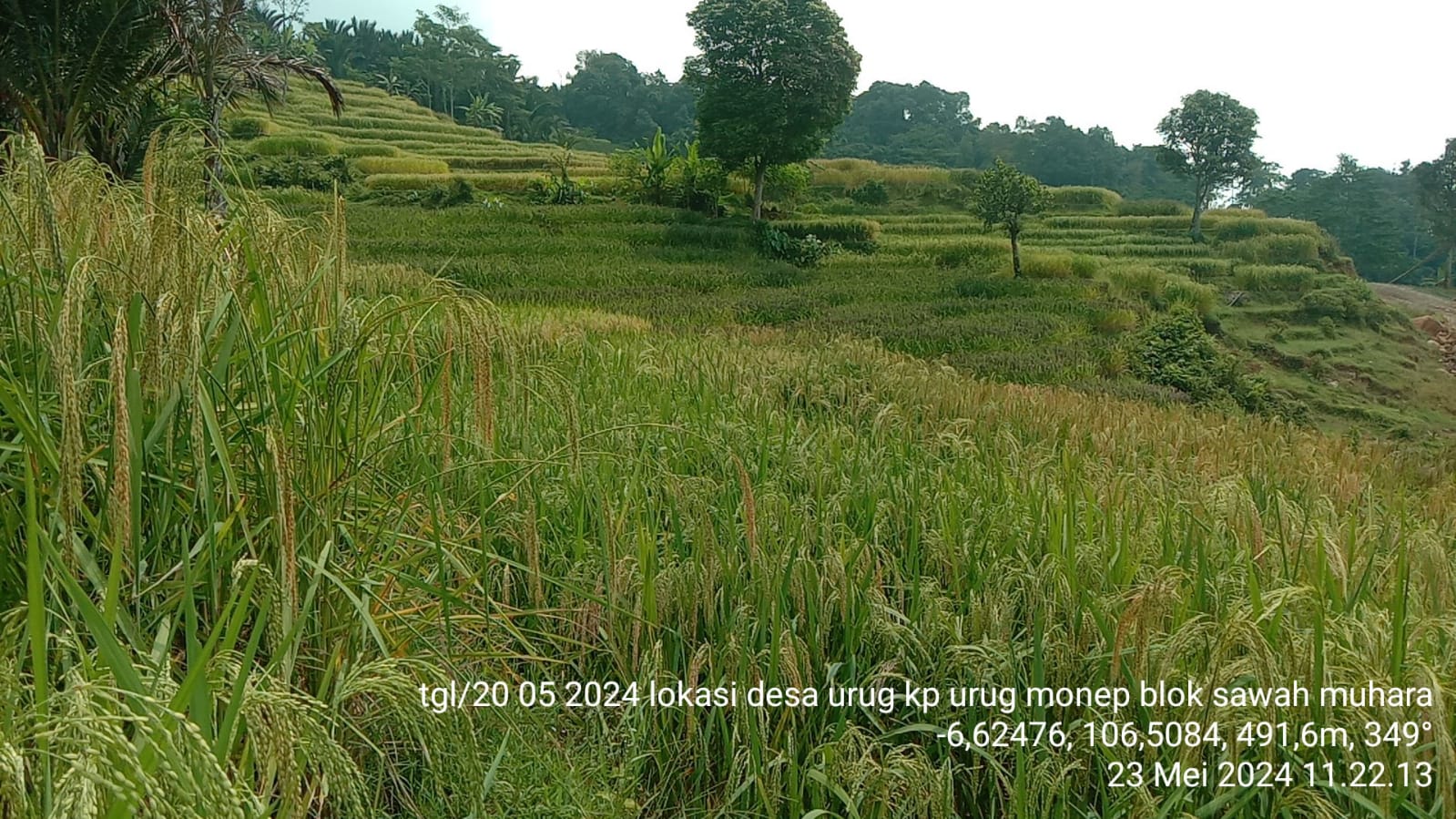 Gedong Ageung