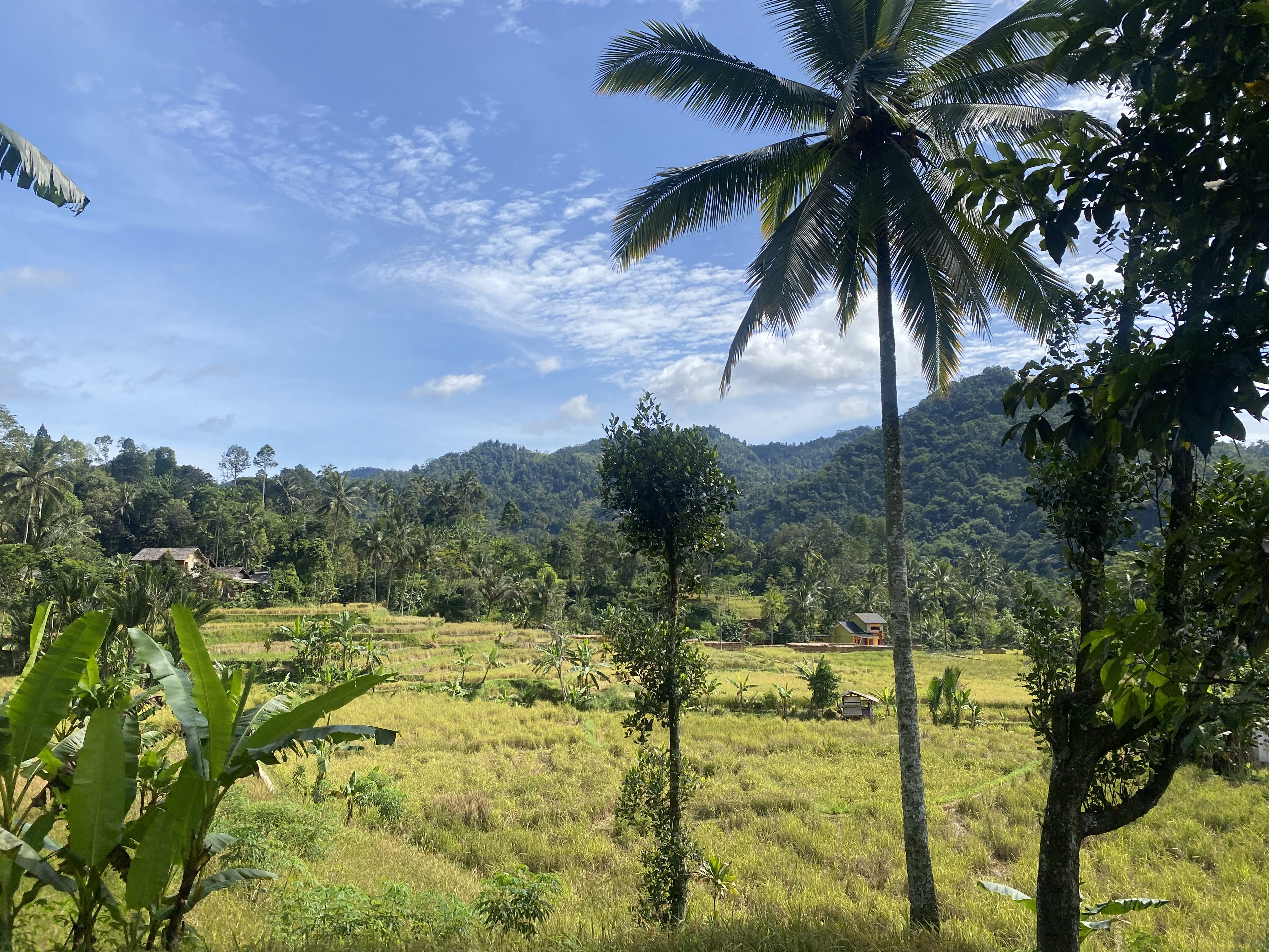Rumah Adat